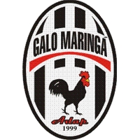 Brasão do clube